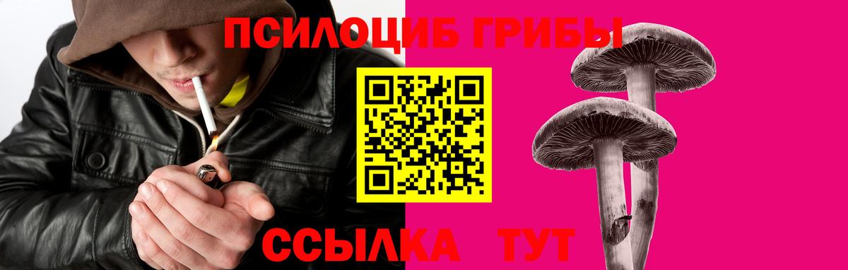 Галлюциногенные грибы ЛСД  Вход с VPN  Галлюциногенные грибы GOLDEN TEACHER  наркошоп  Прокопьевск 